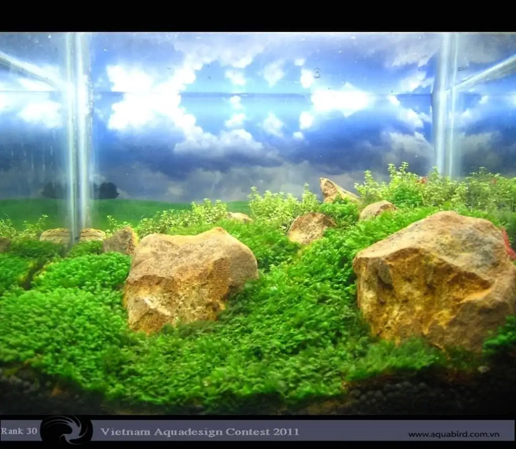 Vietnam Aquatic Design Contest 2011