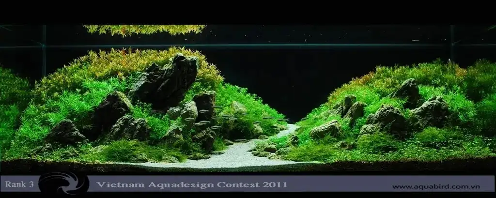 Vietnam Aquatic Design Contest 2011