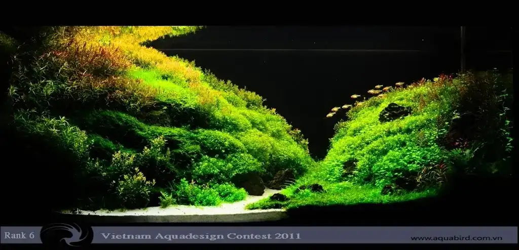 Vietnam Aquatic Design Contest 2011