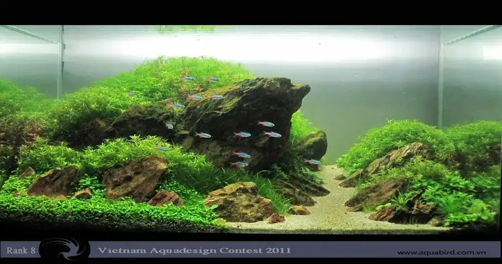 Vietnam Aquatic Design Contest 2011