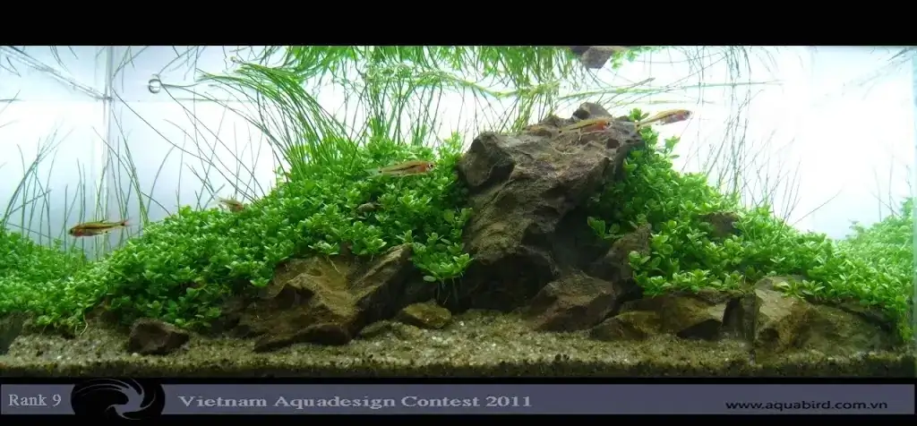 Vietnam Aquatic Design Contest 2011