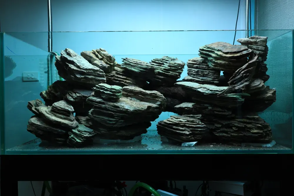 Hardscape: The Solution to an Old Puzzle
