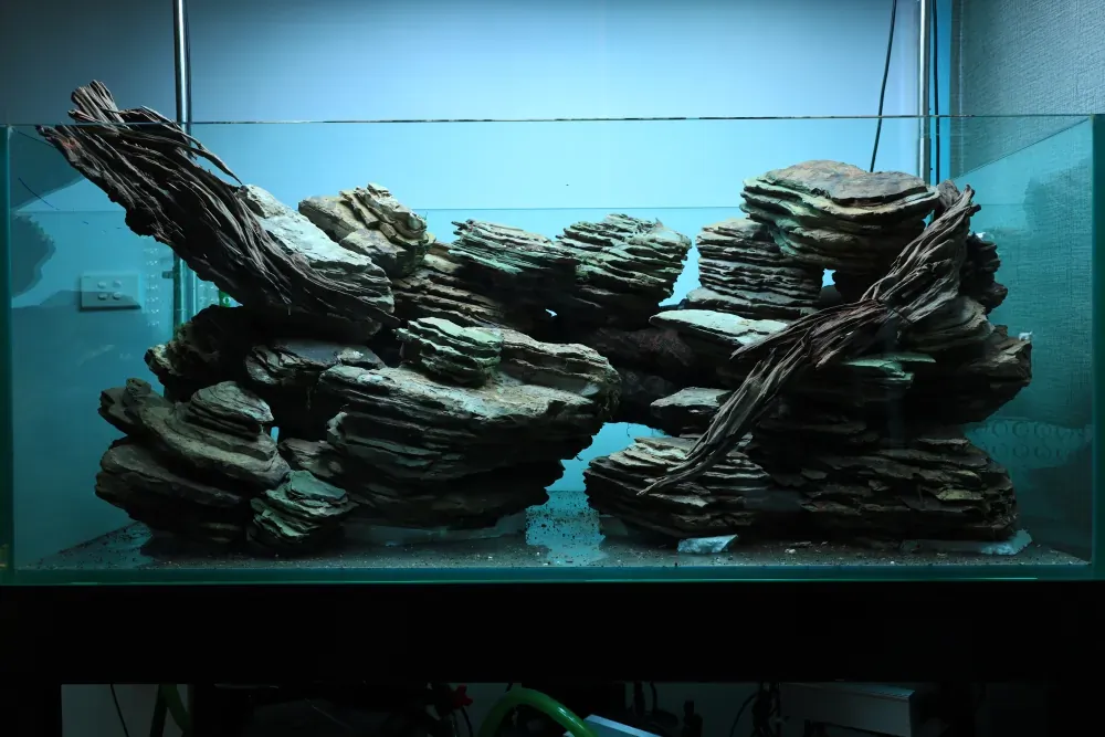 Hardscape: The Solution to an Old Puzzle