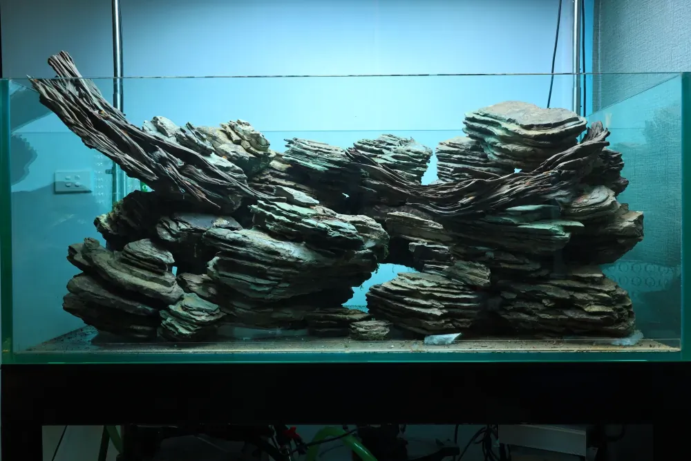 Hardscape: The Solution to an Old Puzzle