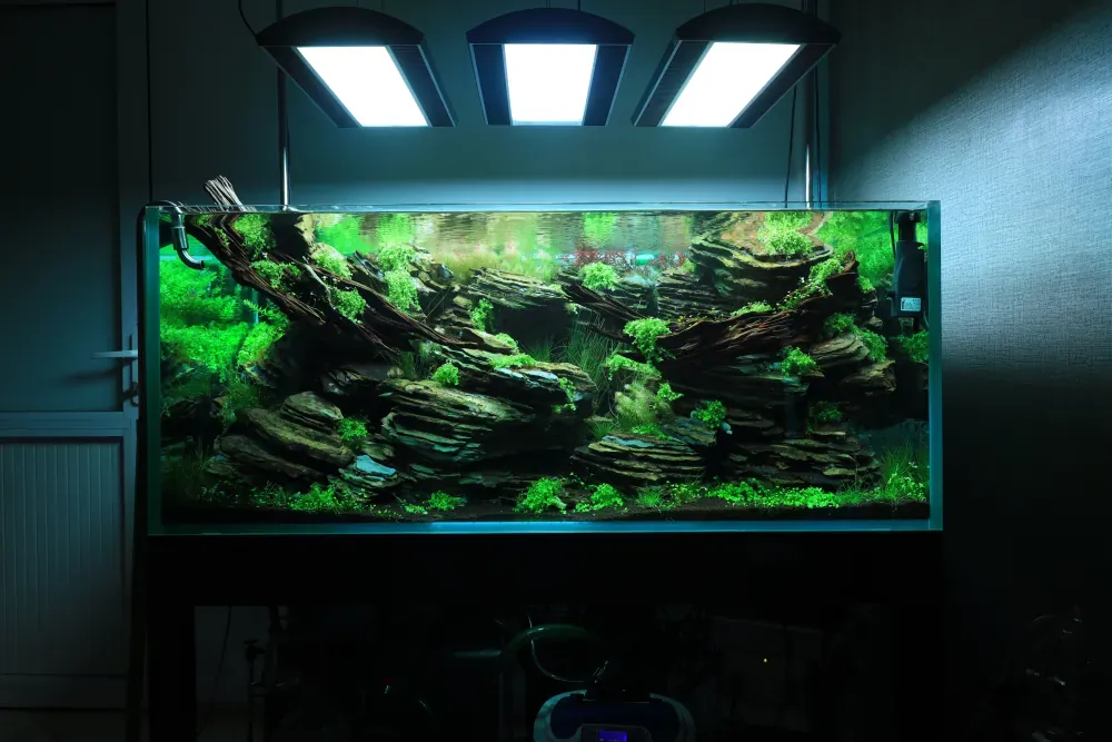 Maintenance and Welcoming New Inhabitants