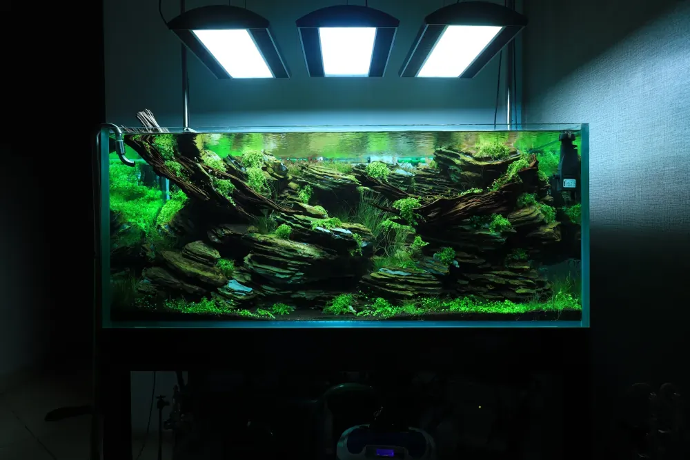 Maintenance and Welcoming New Inhabitants