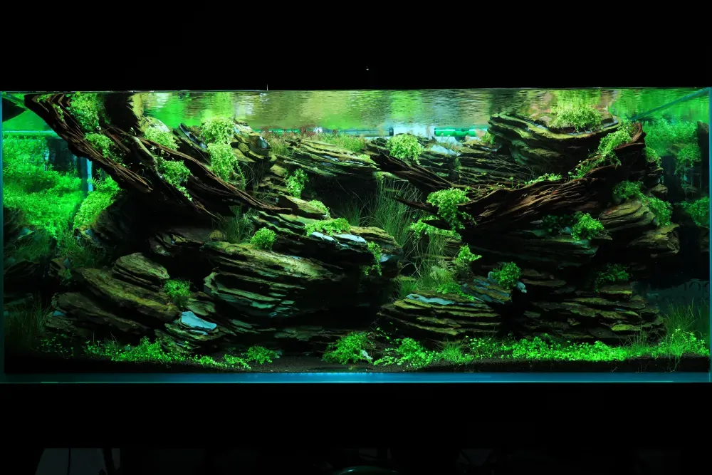 Maintenance and Welcoming New Inhabitants