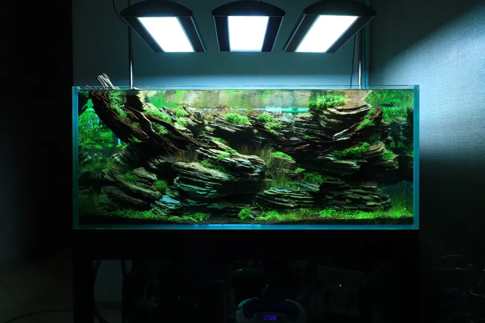 Maintenance and Welcoming New Inhabitants