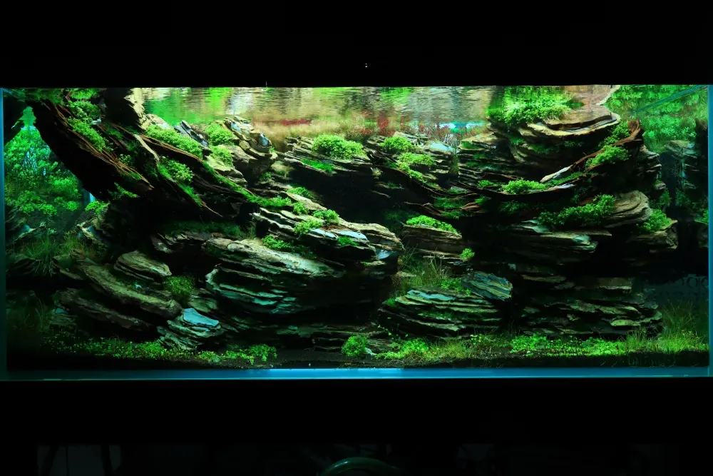 Maintenance and Welcoming New Inhabitants