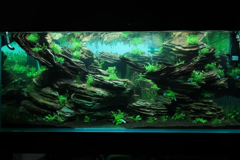 Maintenance and Welcoming New Inhabitants