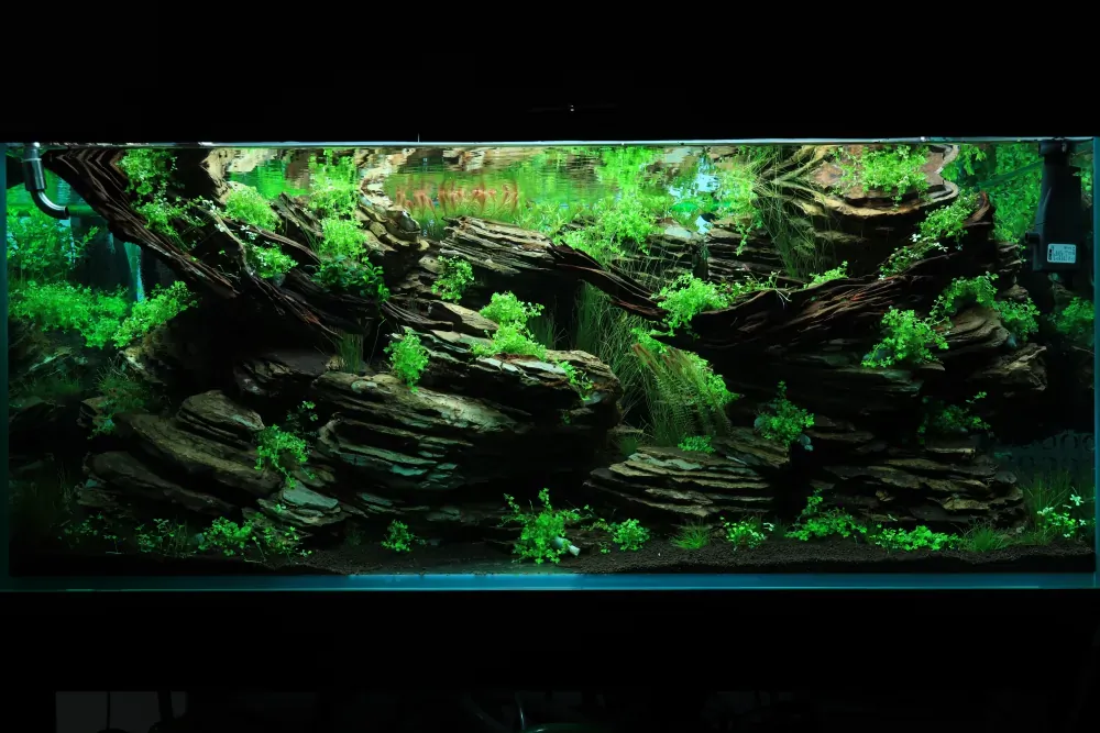 Maintenance and Welcoming New Inhabitants