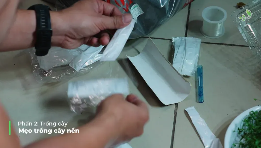 Planting: Mending an Unfinished Picture