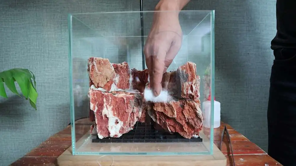 Step by step progression silver waterfall aquarium
