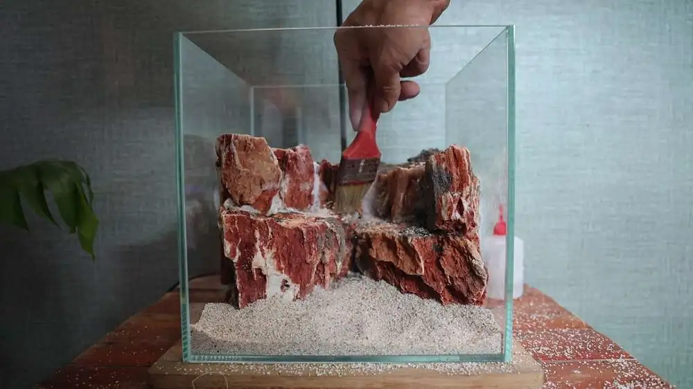 Step by step progression silver waterfall aquarium