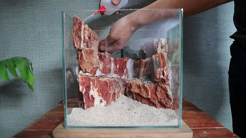 Step by step progression silver waterfall aquarium