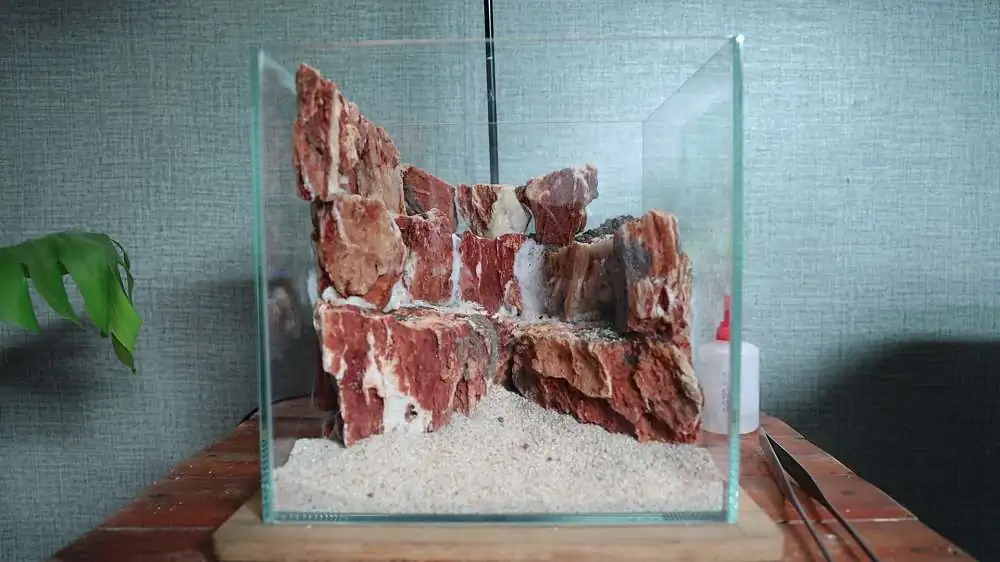 Step by step progression silver waterfall aquarium