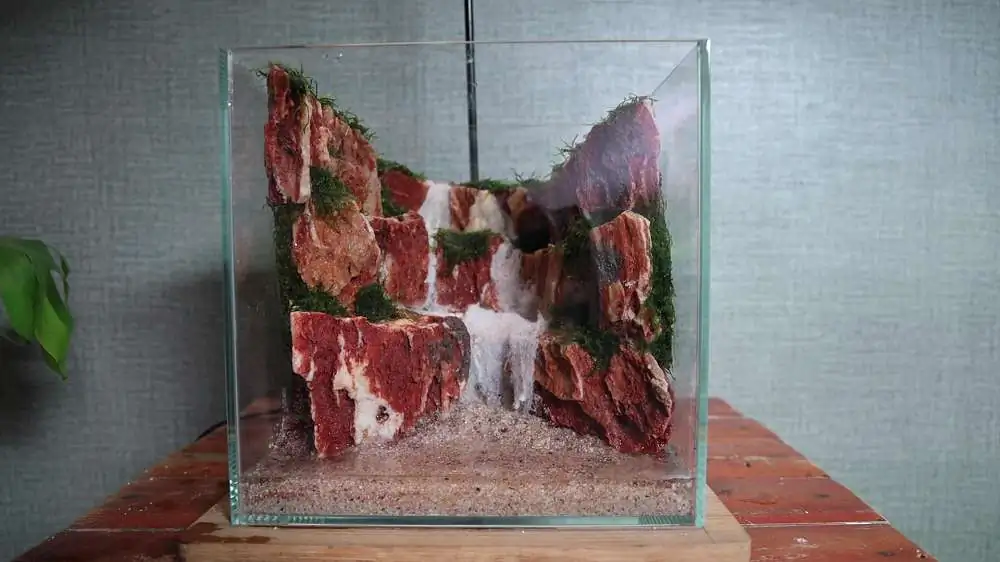 Step by step progression silver waterfall aquarium