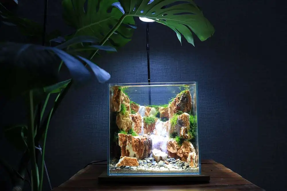 Step by step progression silver waterfall aquarium