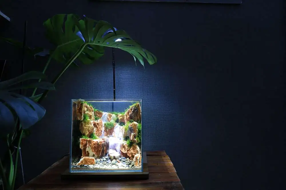 Step by step progression silver waterfall aquarium