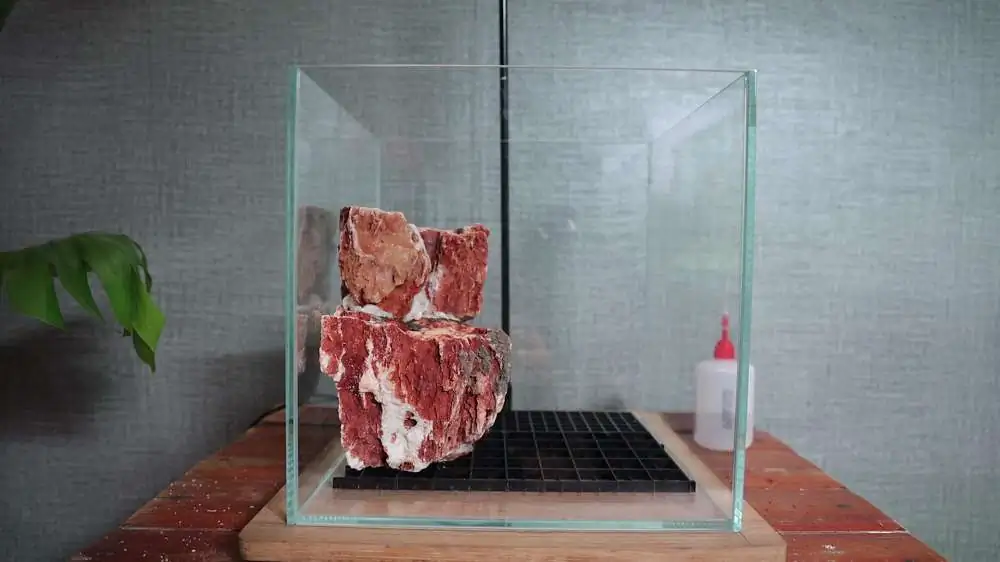 Step by step progression silver waterfall aquarium