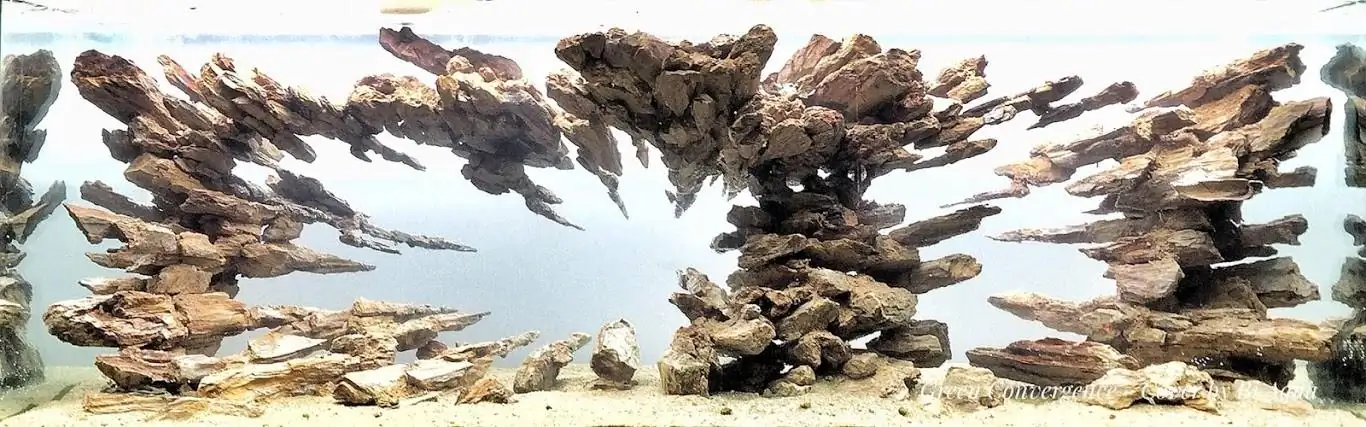 Step by step progression IAPLC 2012 Rank 3 - Green Convergenee