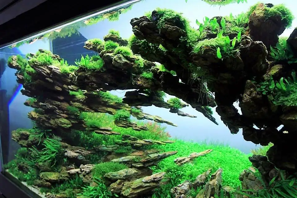 Step by step progression IAPLC 2012 Rank 3 - Green Convergenee