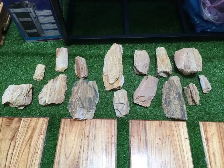 Step by step progression IAPLC 2012 Rank 3 - Green Convergenee