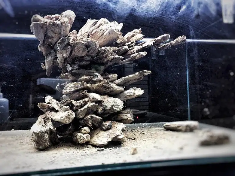 Step by step progression IAPLC 2012 Rank 3 - Green Convergenee