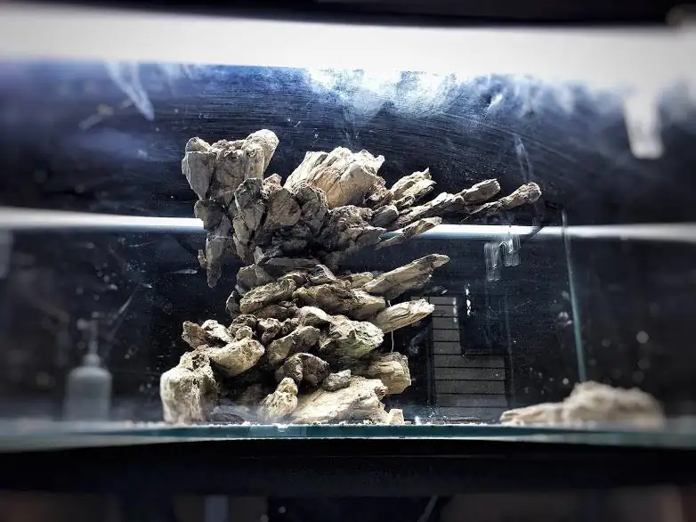 Step by step progression IAPLC 2012 Rank 3 - Green Convergenee