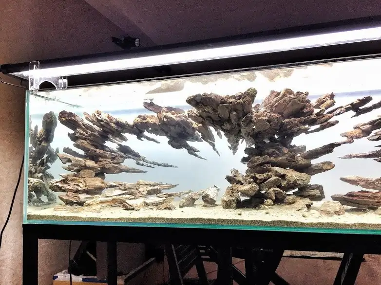 Step by step progression IAPLC 2012 Rank 3 - Green Convergenee