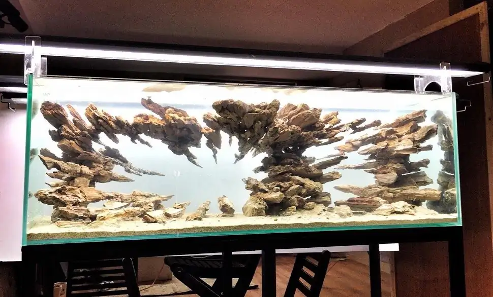 Step by step progression IAPLC 2012 Rank 3 - Green Convergenee