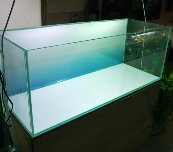 How to make a nature aquarium ranked 8th in the world - IAPLC 2015 - Trace the Headwaters