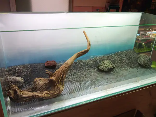 How to make a nature aquarium ranked 8th in the world - IAPLC 2015 - Trace the Headwaters