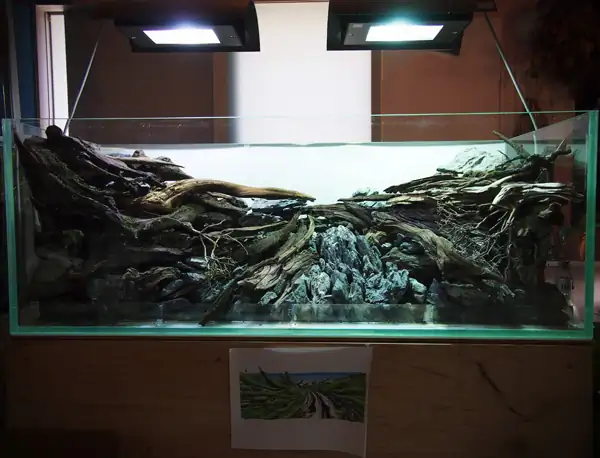 How to make a nature aquarium ranked 8th in the world - IAPLC 2015 - Trace the Headwaters