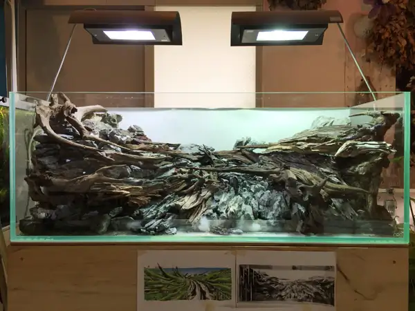 How to make a nature aquarium ranked 8th in the world - IAPLC 2015 - Trace the Headwaters
