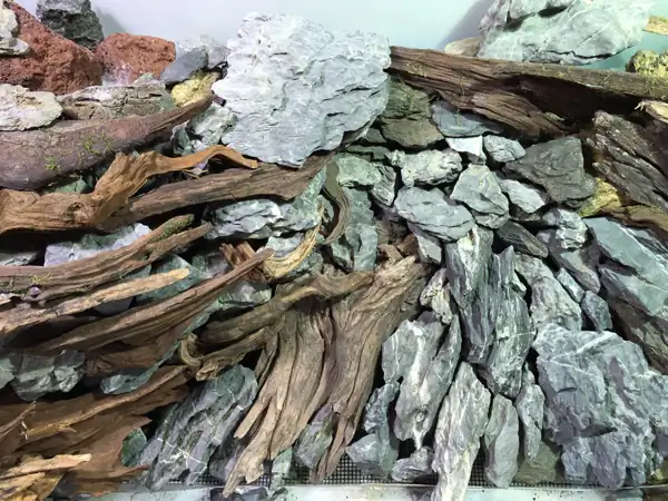 How to make a nature aquarium ranked 8th in the world - IAPLC 2015 - Trace the Headwaters