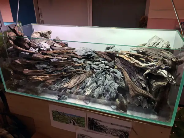 How to make a nature aquarium ranked 8th in the world - IAPLC 2015 - Trace the Headwaters