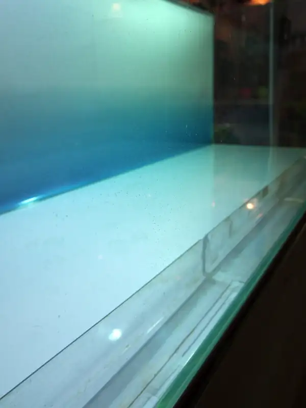 How to make a nature aquarium ranked 8th in the world - IAPLC 2015 - Trace the Headwaters