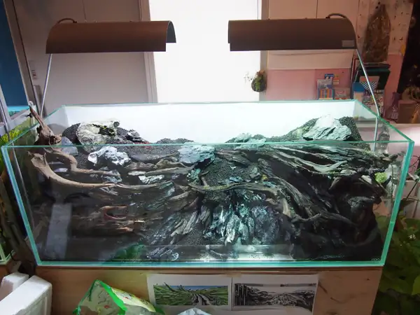 How to make a nature aquarium ranked 8th in the world - IAPLC 2015 - Trace the Headwaters