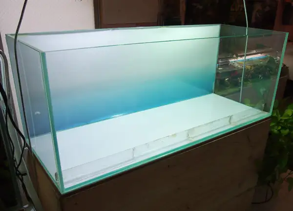 How to make a nature aquarium ranked 8th in the world - IAPLC 2015 - Trace the Headwaters