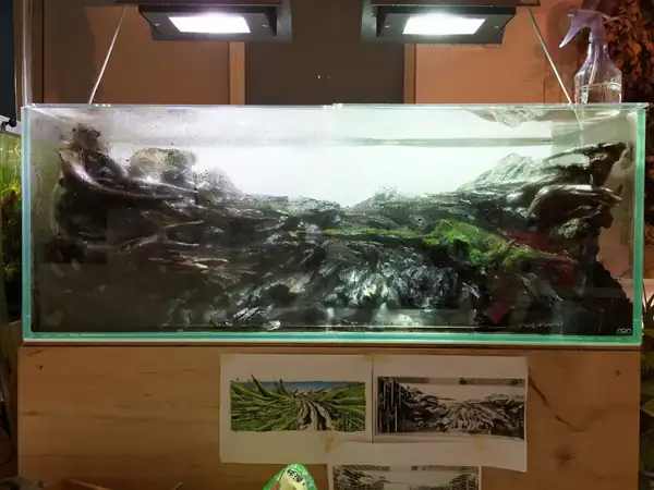 How to make a nature aquarium ranked 8th in the world - IAPLC 2015 - Trace the Headwaters