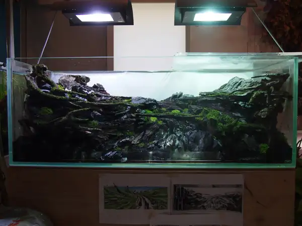 How to make a nature aquarium ranked 8th in the world - IAPLC 2015 - Trace the Headwaters
