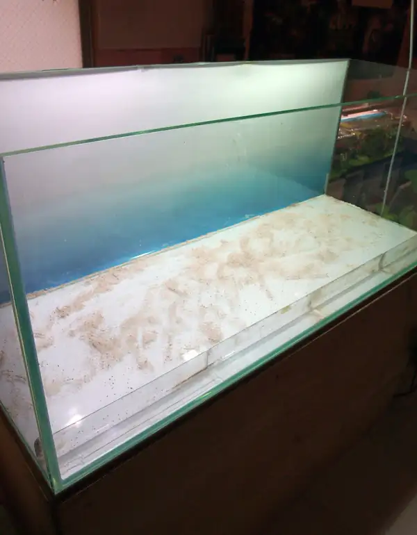 How to make a nature aquarium ranked 8th in the world - IAPLC 2015 - Trace the Headwaters