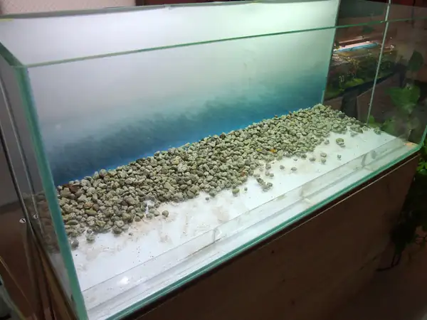 How to make a nature aquarium ranked 8th in the world - IAPLC 2015 - Trace the Headwaters