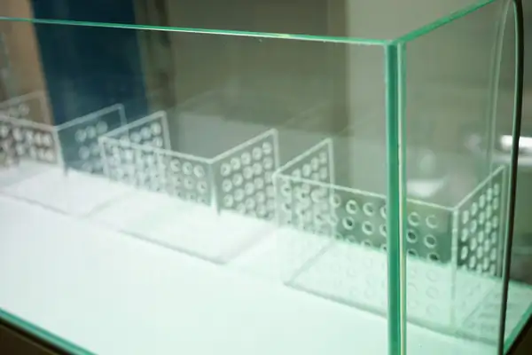 Steps progression IAPLC 2016 Silver Prize - OverTime - Katsuki Tanaka / Japan