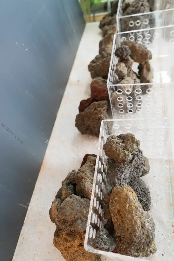 Steps progression IAPLC 2016 Silver Prize - OverTime - Katsuki Tanaka / Japan