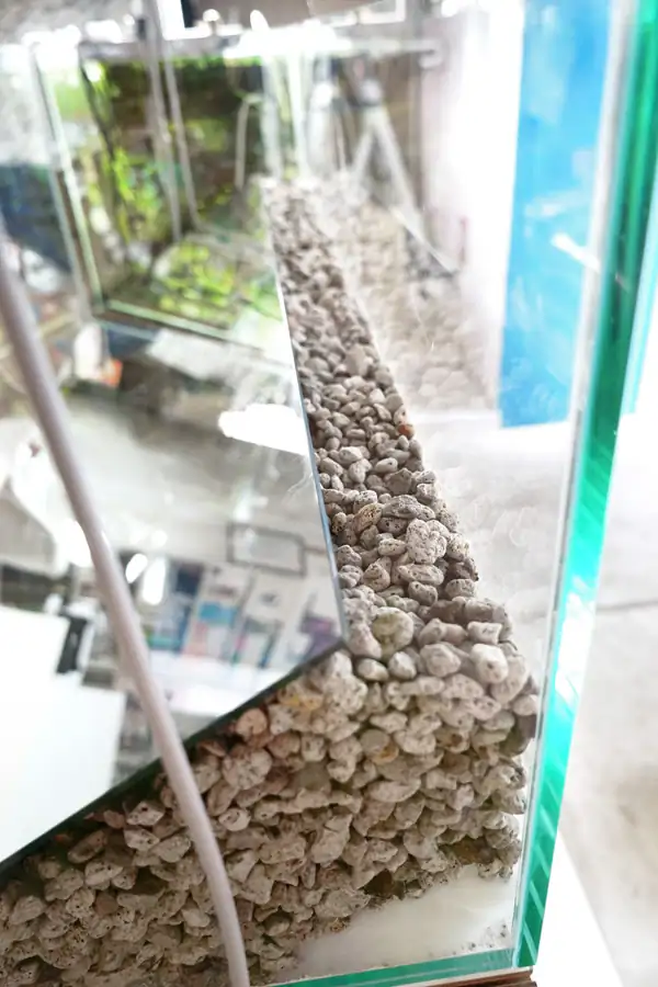 Steps progression IAPLC 2016 Silver Prize - OverTime - Katsuki Tanaka / Japan