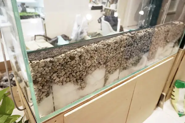 Steps progression IAPLC 2016 Silver Prize - OverTime - Katsuki Tanaka / Japan