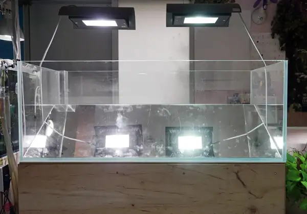 Steps progression IAPLC 2016 Silver Prize - OverTime - Katsuki Tanaka / Japan