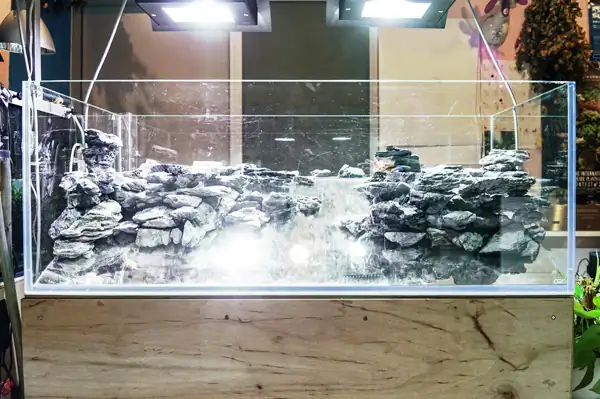 Steps progression IAPLC 2016 Silver Prize - OverTime - Katsuki Tanaka / Japan